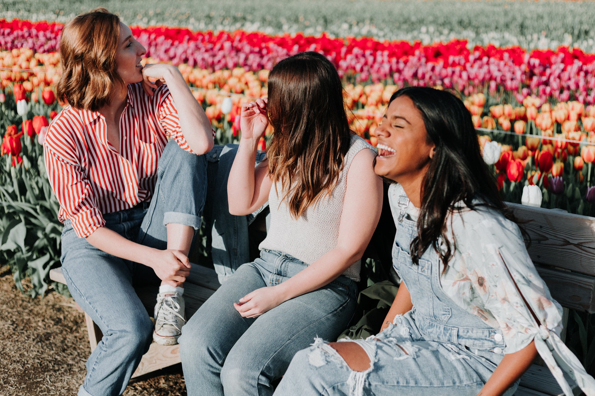 Introducing: The Scout Collective