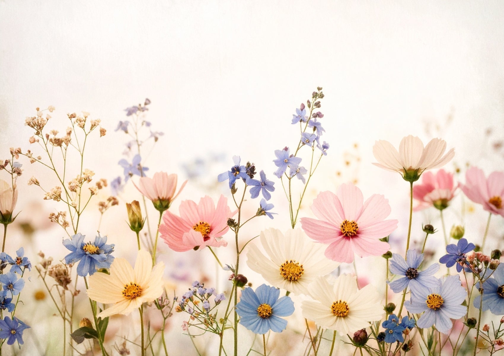 Smell the Flowers. Feel the Linen.